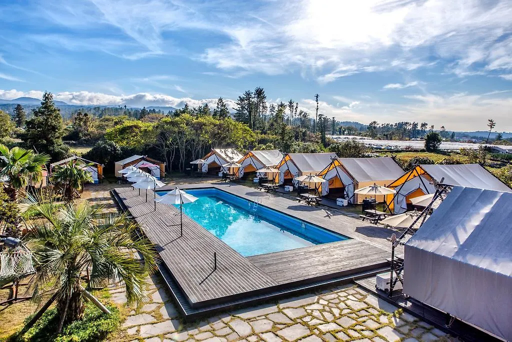 Ecohill Glamping Jeju location